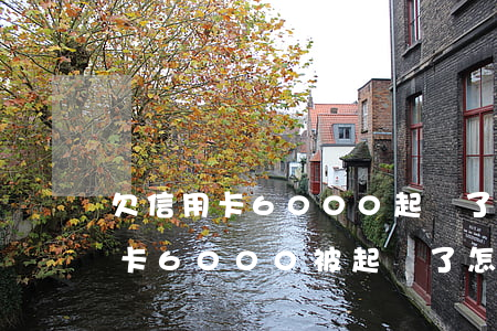 欠信用卡6000起訴了會怎么判-欠信用卡6000被起訴了怎么辦