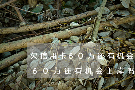 欠信用卡60万还有机会上岸吗-欠信用卡60万还有机会上岸吗知乎