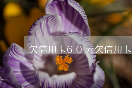 欠信用卡60元(欠信用卡60萬)