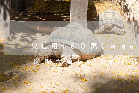 欠信用卡60萬(wàn)判多少年(信用卡逾期六萬(wàn)被判刑幾年?)