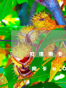 欠信用卡60萬(wàn)逾期一年-欠信用卡60萬(wàn)逾期一年