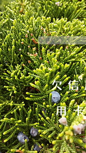 欠信用卡60萬(wàn)逾期怎么辦(欠信用卡幾千塊錢逾期)