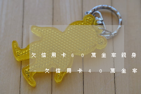 欠信用卡60萬坐牢親身經(jīng)歷-欠信用卡40萬坐牢親身經(jīng)歷