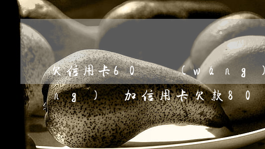 欠信用卡60萬網(wǎng)貸(網(wǎng)貸加信用卡欠款80萬)