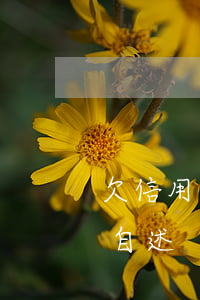 欠信用卡60萬自述怎么寫（欠信用卡60萬自述）