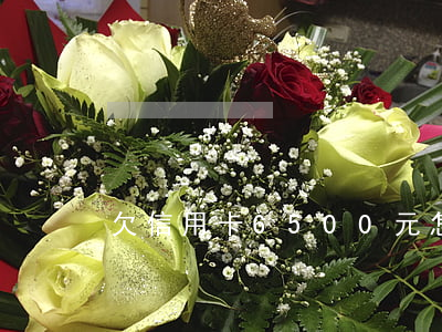欠信用卡6500元怎么辦(欠信用卡6千)