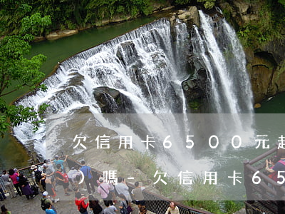 欠信用卡6500元起訴會上網(wǎng)嗎-欠信用卡6500元起訴會上網(wǎng)嗎判幾年