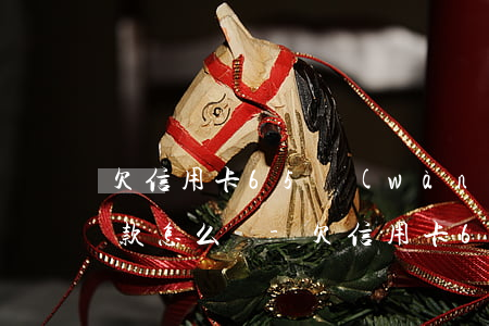 欠信用卡65萬(wàn)無(wú)法還款怎么辦-欠信用卡65萬(wàn)無(wú)法還款怎么辦呢