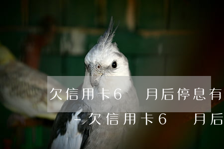 欠信用卡6個月后停息有這規(guī)定嗎-欠信用卡6個月后停息有這規(guī)定嗎怎么辦