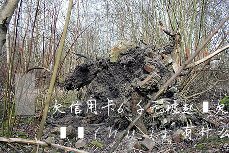 欠信用卡6千元被起訴(欠信用卡幾千塊被起訴會(huì)有什么后果)
