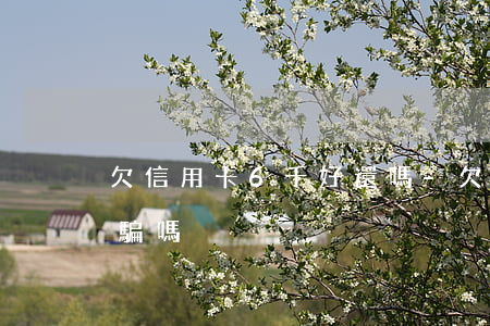 欠信用卡6千好還嗎-欠信用卡6千屬于詐騙嗎