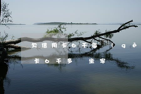 欠信用卡6千每個(gè)還100(欠信用卡6千多會坐牢嗎)