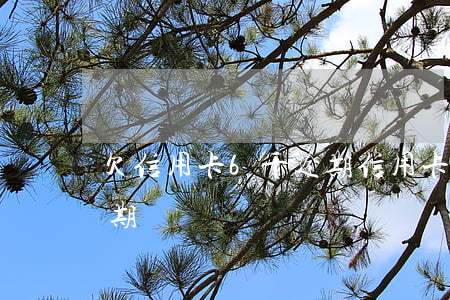欠信用卡6千逾期(信用卡6萬(wàn)逾期)