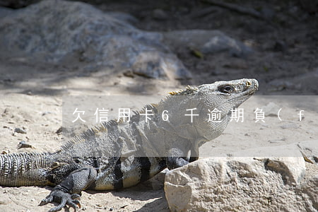 欠信用卡6千逾期負(fù)形事嗎