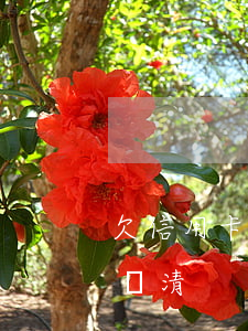 欠信用卡6年了怎么還(欠信用卡6年了怎么還清)