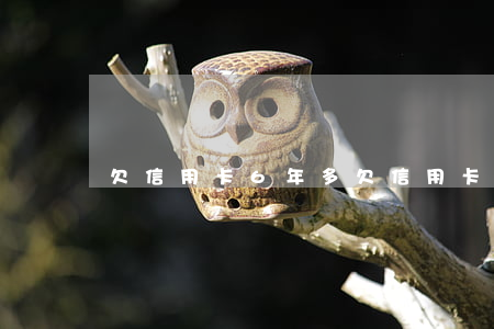 欠信用卡6年多(欠信用卡6年多)