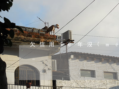 欠信用卡6年沒(méi)錢還可以辦理嗎-