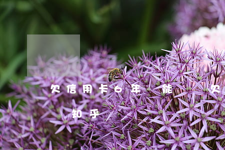 欠信用卡6年還能還嗎(欠信用卡6年還能還嗎知乎)