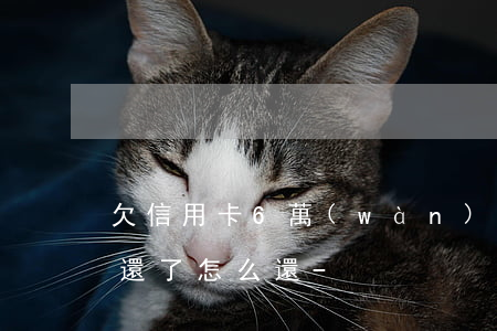 欠信用卡6萬(wàn)3年沒(méi)還了怎么還-