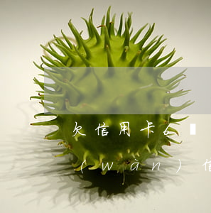 欠信用卡6萬(wàn)不想坦白(欠了6萬(wàn)信用卡)