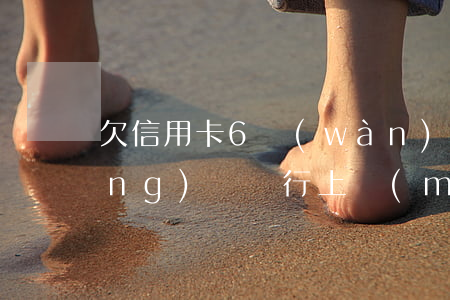 欠信用卡6萬(wàn)坐牢親身經(jīng)歷（銀行上門(mén)催收怎么辦）