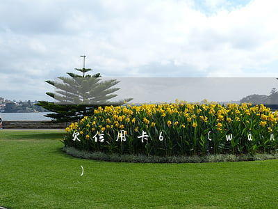 欠信用卡6萬(wàn)貸款8萬(wàn)