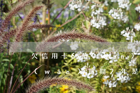 欠信用卡6萬(wàn)逾-欠信用卡6萬(wàn)逾期2年是孕婦被抓會(huì)被判刑嗎