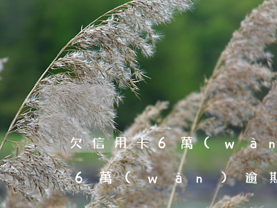 欠信用卡6萬(wàn)逾期一次(信用卡欠6萬(wàn)逾期兩年)