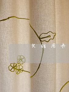 欠信用卡6萬怎么上岸(欠信用卡6萬怎么辦)