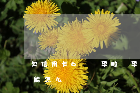 欠信用卡6萬懷孕啦(懷孕期間欠信用卡逾期能怎么樣)