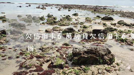 欠信用卡6萬房貸(欠信用卡6萬還不起怎么辦)