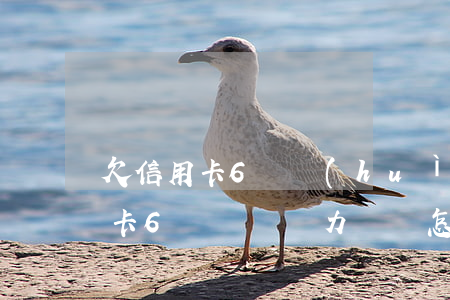 欠信用卡6萬會(huì)判多久-欠信用卡6萬塊錢無力償還怎么辦
