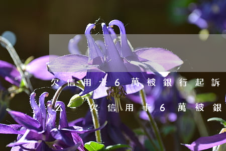 欠信用卡6萬被銀行起訴會(huì)判刑么-欠信用卡6萬被銀行起訴會(huì)判刑么嗎