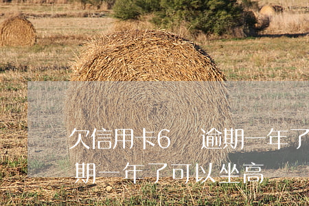 欠信用卡6萬逾期一年了-欠信用卡6萬逾期一年了,可以坐高鐵嗎