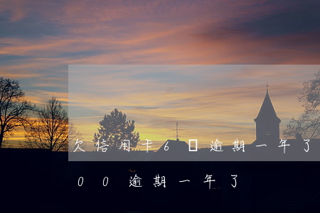 欠信用卡6萬逾期一年了上海(欠信用卡6000逾期一年了)