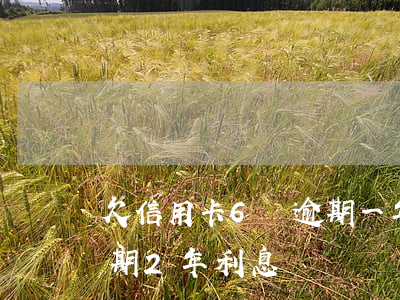 欠信用卡6萬逾期一年了（信用卡欠60萬逾期2年利息）