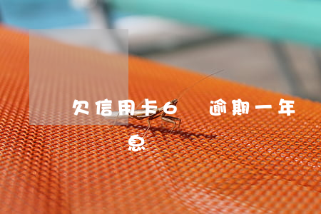 欠信用卡6萬逾期一年罰息（信用卡逾期幾天沒罰息）
