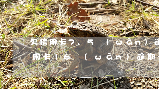 欠信用卡7.5萬(wàn)逾期一年（欠信用卡16萬(wàn)逾期一個(gè)月）