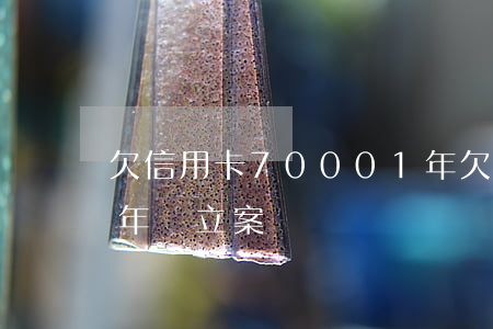 欠信用卡70001年(欠信用卡7000一年會立案嗎)