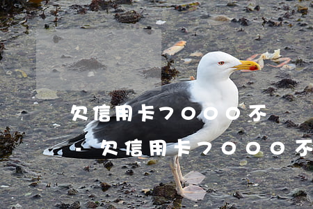 欠信用卡7000不還會(huì)怎么樣-欠信用卡7000不還會(huì)怎么樣嗎
