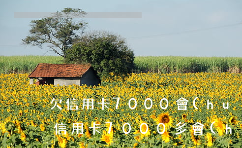 欠信用卡7000會(huì)坐牢嗎-欠信用卡7000多會(huì)坐牢嗎