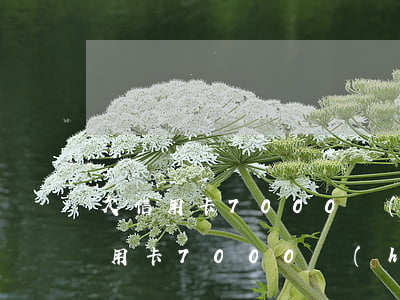 欠信用卡7000會(huì)立案嗎(欠信用卡7000會(huì)立案嗎,會(huì)坐牢嗎)