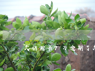 欠信用卡7万逾期了（欠信用卡7万逾期了）