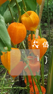 欠信用卡7千多塊會(huì)不會(huì)被起訴-欠信用卡7千多塊會(huì)不會(huì)被起訴呢