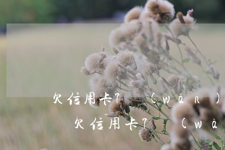 欠信用卡7萬(wàn)一年沒(méi)還 欠信用卡7萬(wàn)一年沒(méi)還會(huì)怎樣