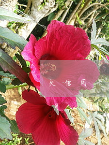 欠信用卡7萬(wàn)逾期4個(gè)月-信用卡7萬(wàn)逾期3年