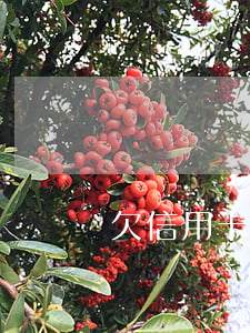 欠信用卡7萬（信用卡欠七萬多嗎）