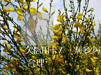 欠信用卡7萬判多少年(欠信用卡7萬怎么還合理)
