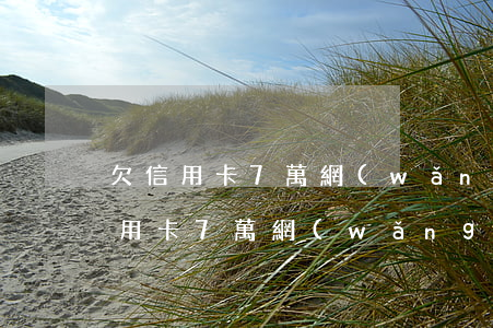 欠信用卡7萬網(wǎng)貸怎么辦(欠信用卡7萬網(wǎng)貸怎么辦)