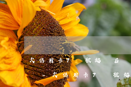 欠信用卡7萬被起訴后還能協(xié)商嗎-欠信用卡7萬被起訴后還能協(xié)商嗎怎么辦